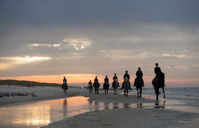 Bernsteinland Barth - Photo 43