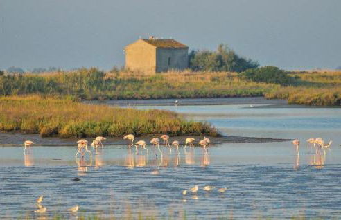 Calabria G41 - Foto 14