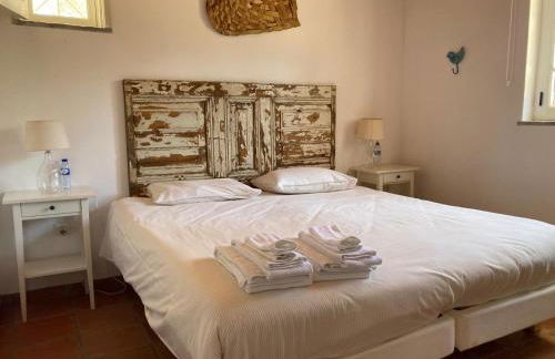 Monte do Medronhal - Foto 34