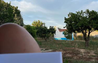 Quinta das Andorinhas Alentejo countryside and beach - Photo 9