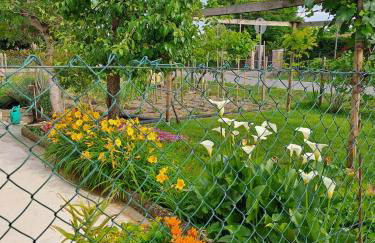 a casa di nonna Tarsilla-entire apartment,5 guests - Foto 50