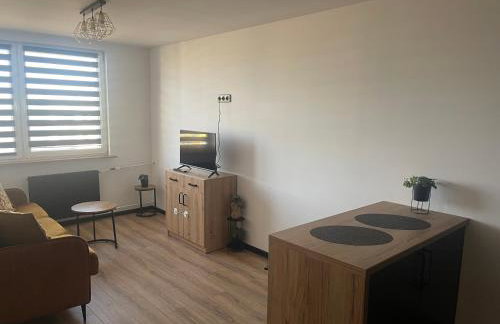 CityView Tychy - Foto 10