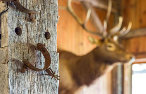 Glamping Cabin Rental for Groups on Lake Buchanan in Texas Hill Country - Foto 15