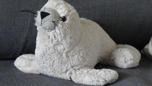 Ferienwohnung Robbe - Foto 2