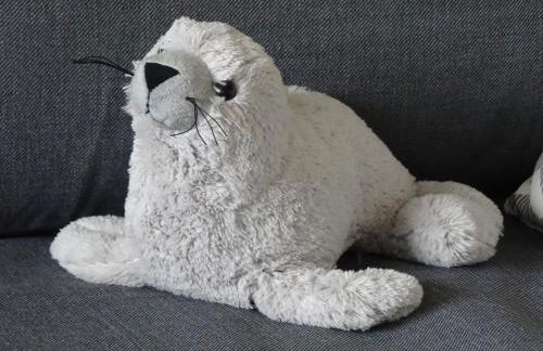 Ferienwohnung Robbe - Foto 2