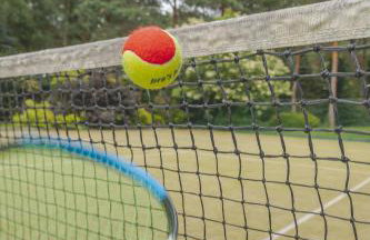 SILVA Guest House - dom wczasowy, tenis, basen, balia i sauna - Foto 35