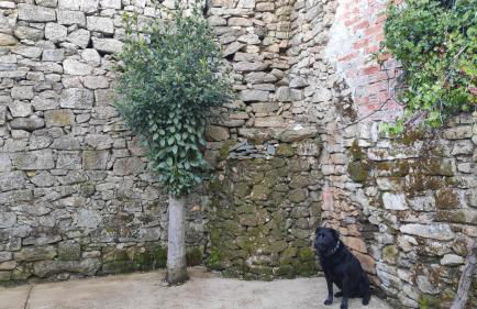 Casa El Rostro - Foto 22