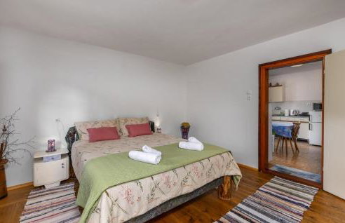 Gorgeous Home In Ravna Gora With Wifi - Foto 19