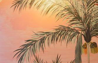 Artists Hideaway - Foto 50