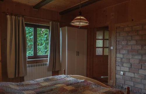 Kałamunka - Foto 35