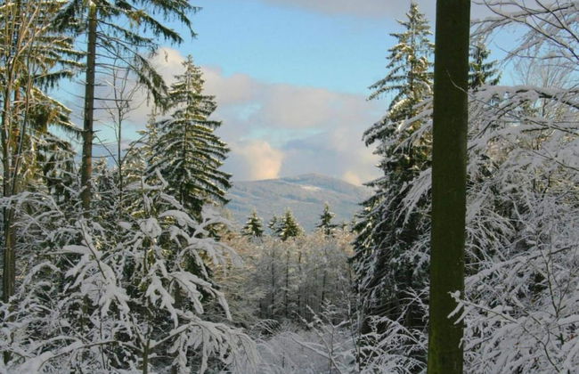 Ferienwohnung in der Nahe des Skigebietes - Foto 32