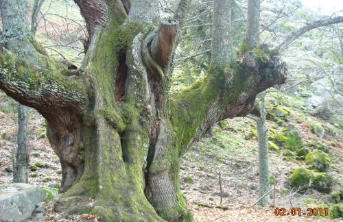 Casa rural Las Mareas - Foto 39