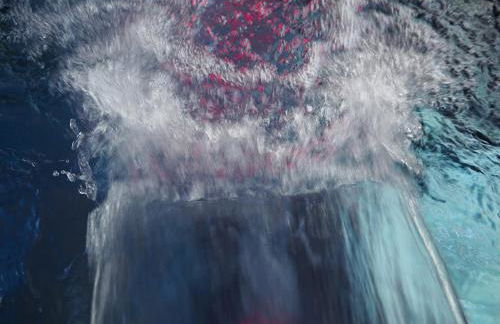 Mas Cal Sastre - Foto 37