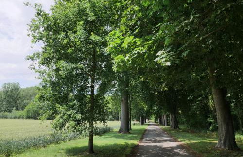 Maison de plain-pied avec parc arboré proche Zoo de Beauval - FR-1-491-335 - Foto 19