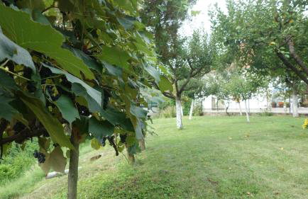 Apartment Mia - Foto 61