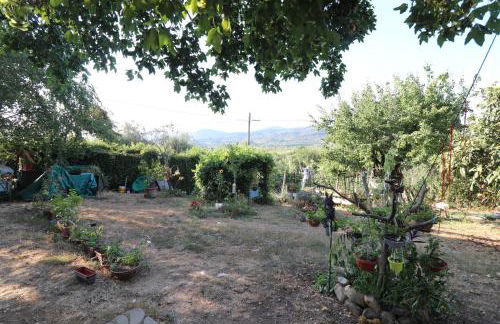 I Rosai appartamento sulle colline fiorentine - Foto 58