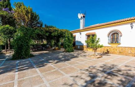Spacious villa with private pool in Villamartin - Foto 20