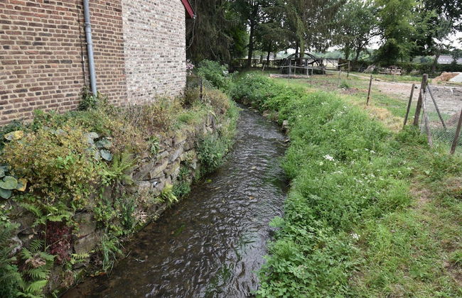 Apartment Near the Belgian Border - Photo 69