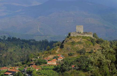 Casa da Caneleira Camélias de Basto - Foto 35