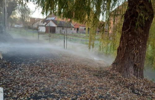 Böllenhäuschen - Foto 9