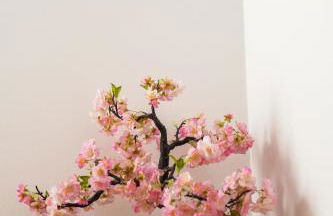 Casa de Campo Gracinda - Foto 44