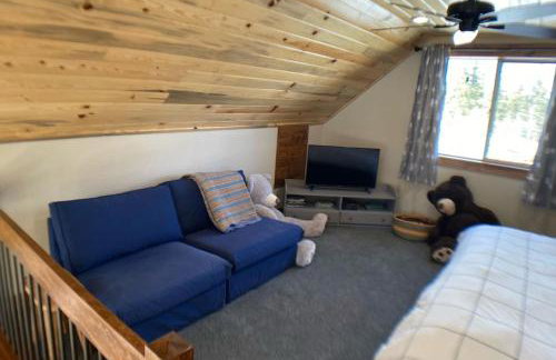 Secluded Modern Cabin On 10 Acres Tarryall Creek - Foto 29