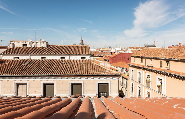 L&H La Latina - Photo 40