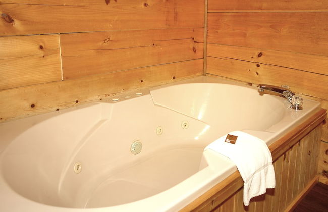 Jon's Pond on Cosby Creek - 2 Bedrooms, 2 Baths, Sleeps 6 Cabin by RedAwning - Foto 6