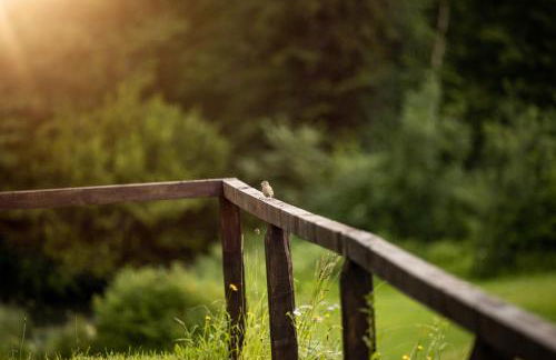 Ferienwohnungen am Gablerhof - Foto 19