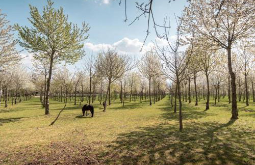 Agriturismo Il Giardino dei Ciliegi - Foto 4