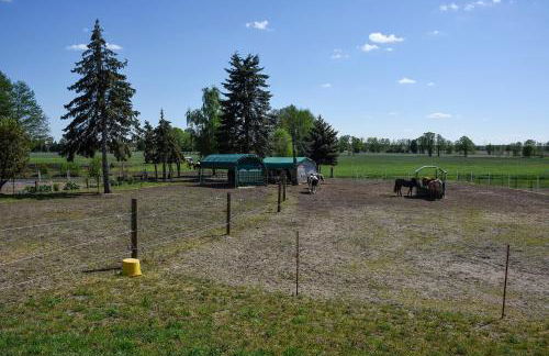 Barrierefreie Ferienwohnung Trüben (Zerbst/Anhalt) - Foto 18