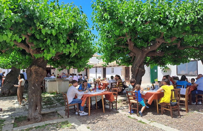 Fattoria Manostalla - Foto 48