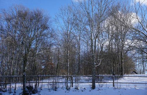 Chalet Waldzeit - Foto 31