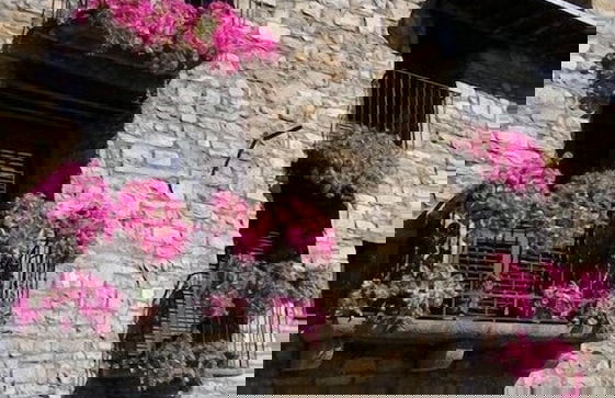 El Capricho de Nieves - Foto 57