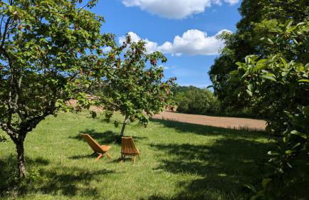 Mas Labrugade - Foto 9