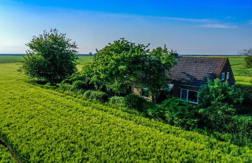 Polderhaus Deichblick direkt am Dullart - Foto 25