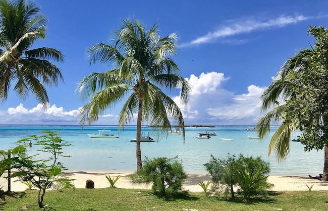 Residence Moorea Sunset Beach - Foto 50