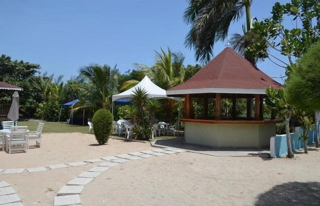 Ocho Rios Villa at the Palms II - Photo 26