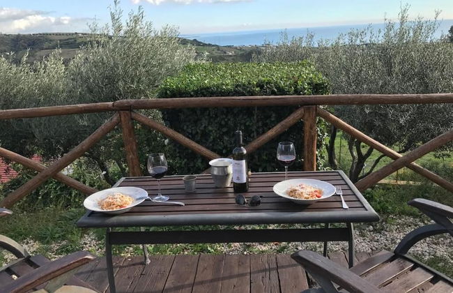 I Cardinali - Foto 51