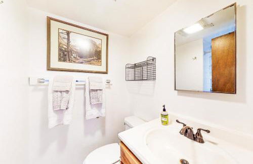 Ski-riffic - Foto 10