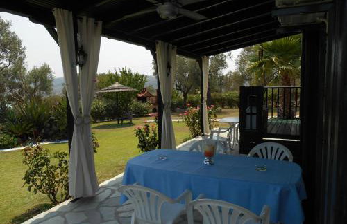 Heliactida House - Photo 22