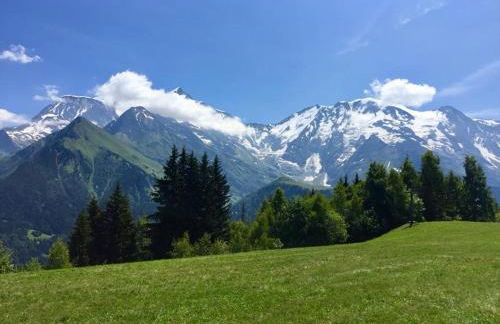 Appartement T2+cabine indépendante au départ des télécabines Saint-Gervais/Bettex/Mont d’Arbois - Foto 52