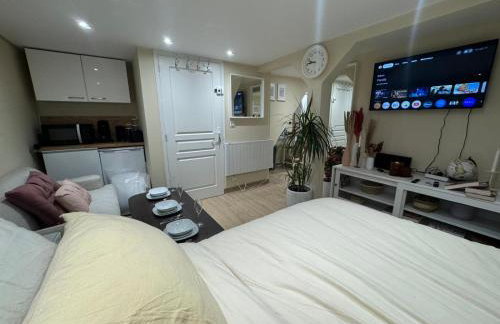 Appartement F1 climatisée rez de chaussée - Foto 12