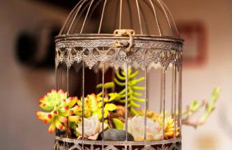 Casa Papaya 1, La Palma - Foto 24