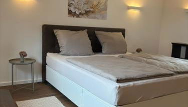 Waldblick am Rhein - Natur & Citynah - - Foto 3