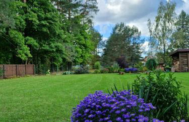 Łap Las Pelnik - Photo 19