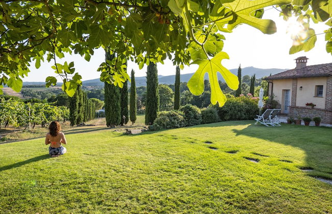 Country House Villa Rey - Foto 55