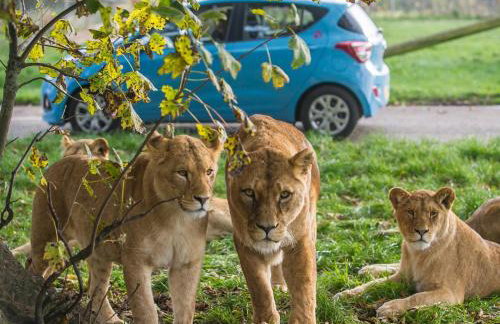 2 Bed in Stirling oc-81513 - Photo 19