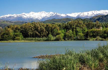 Villa Anthemida Chania - Foto 38