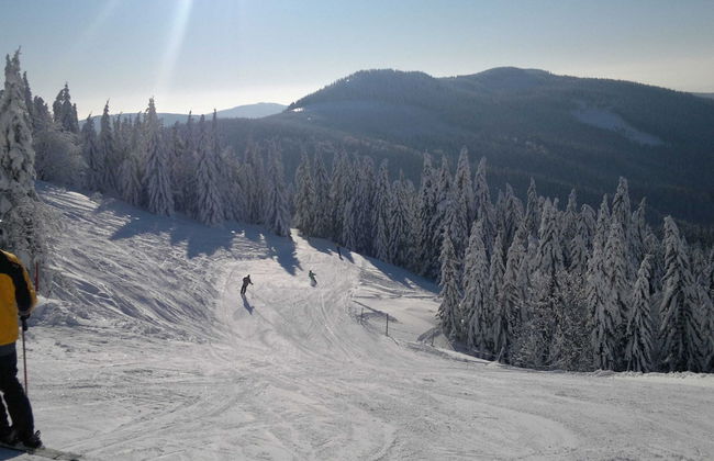 Attractive Apartment in Rokytnice nad Jizerou near Ski Area - Foto 12